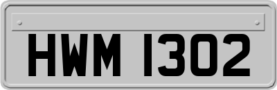 HWM1302