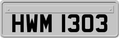 HWM1303