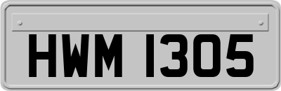 HWM1305