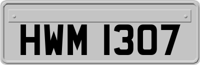 HWM1307
