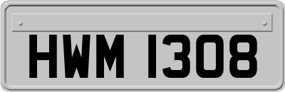 HWM1308