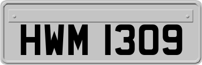 HWM1309