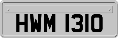 HWM1310
