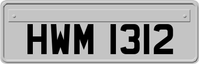 HWM1312