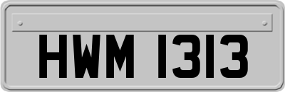 HWM1313
