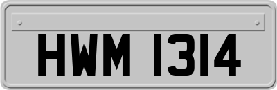 HWM1314