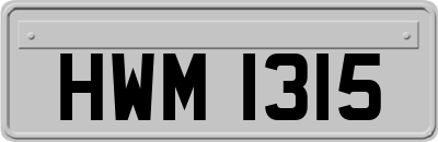 HWM1315