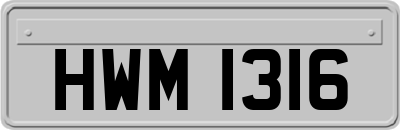 HWM1316