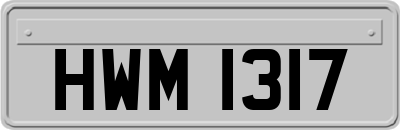 HWM1317