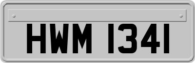 HWM1341