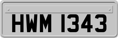 HWM1343