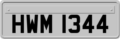 HWM1344