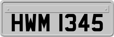 HWM1345