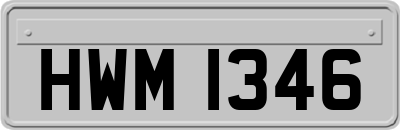 HWM1346