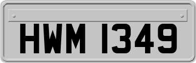 HWM1349