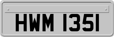 HWM1351
