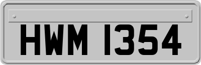 HWM1354