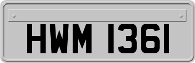 HWM1361