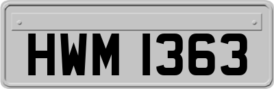 HWM1363