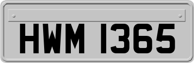HWM1365
