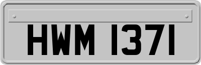 HWM1371