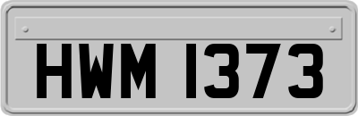 HWM1373