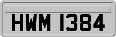 HWM1384