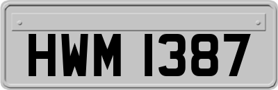 HWM1387