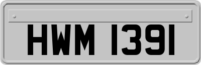 HWM1391