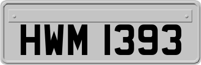 HWM1393