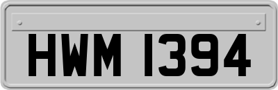 HWM1394