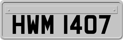 HWM1407