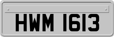 HWM1613