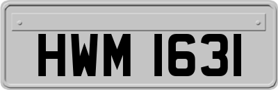 HWM1631