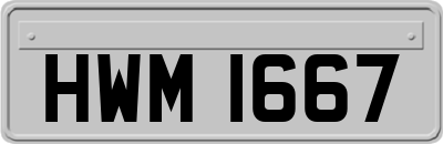 HWM1667