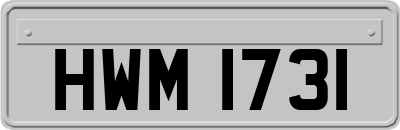 HWM1731