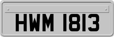 HWM1813