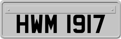 HWM1917