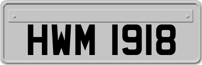 HWM1918