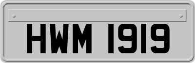 HWM1919