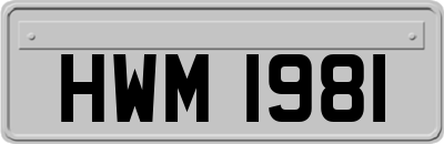 HWM1981