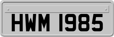 HWM1985