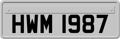 HWM1987
