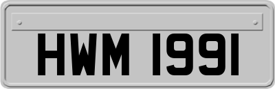 HWM1991