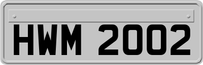 HWM2002