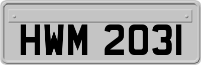 HWM2031