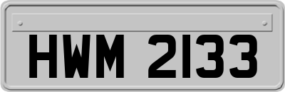 HWM2133