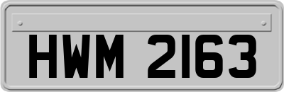 HWM2163