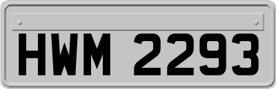 HWM2293