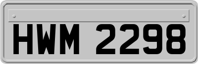 HWM2298